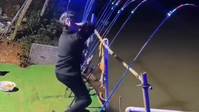 This is a beautiful and charming water-dwelling species