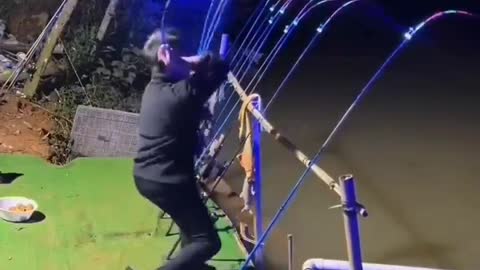 This is a beautiful and charming water-dwelling species