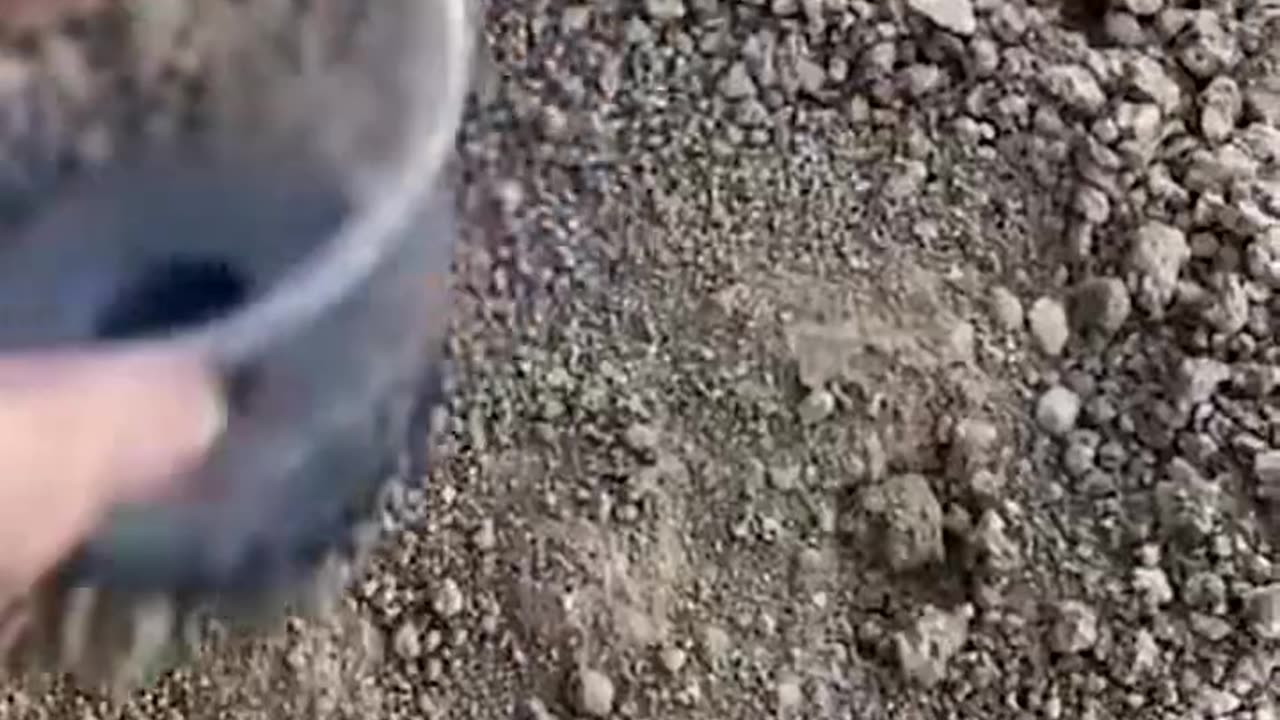 Gathering black magnetic sand with a plastic cup#Famous #Viral #Tranding #USA #canada