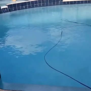 Robot Cleaning Pool Relax Ambience Dolphin Nautilus CC