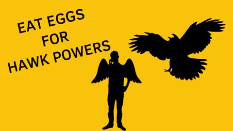 How To Survive A Hawk Attac
