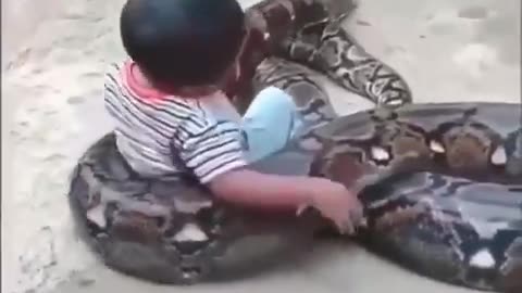 A Kid and His Pet