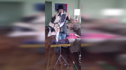 MEMES that love CATS