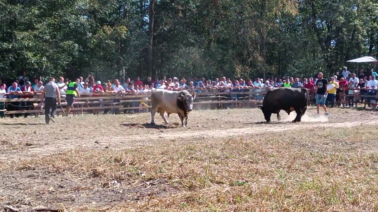 Zeko Braća Sarajlić vs Garonja Muće Vokić