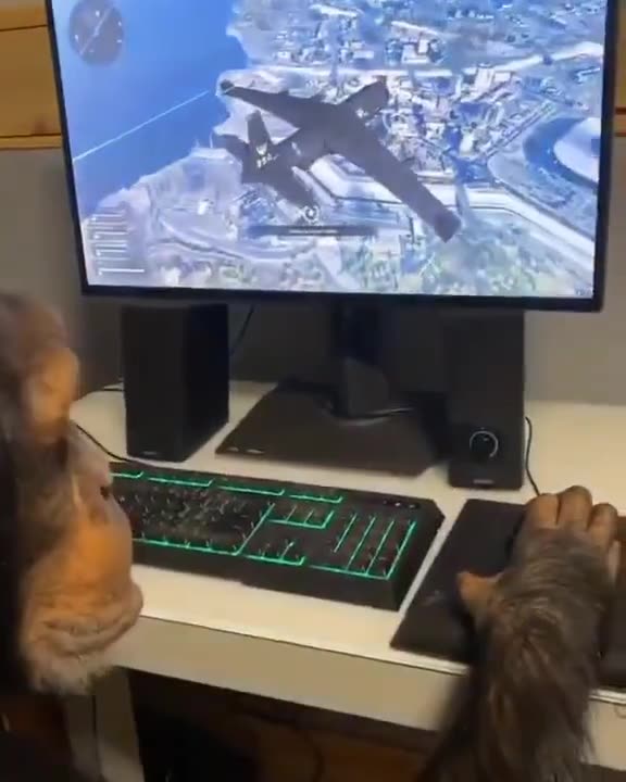 Monkey Gamer
