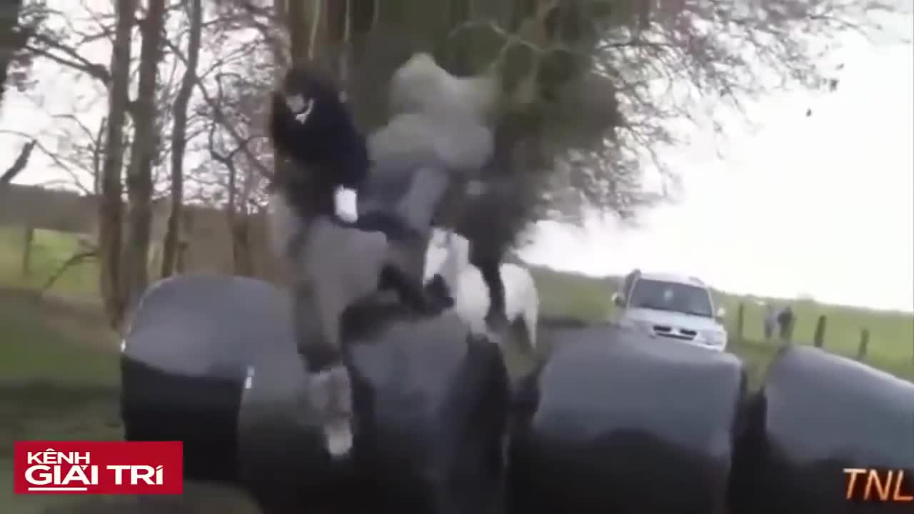 Random funny video.. try not to laugh