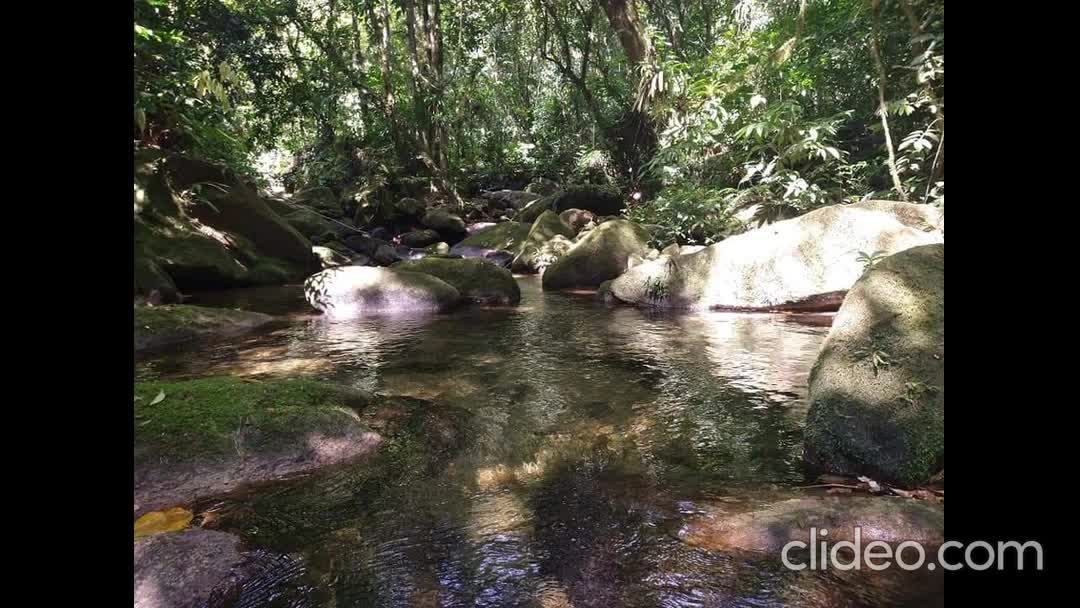 Canto Guarani