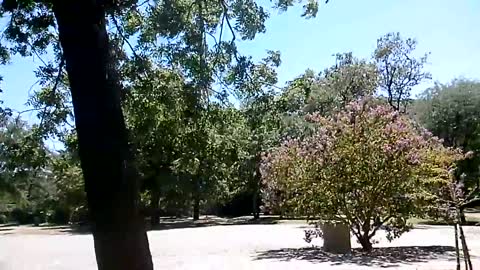 2017-07-28 - Reportage sur le vent - Youtube