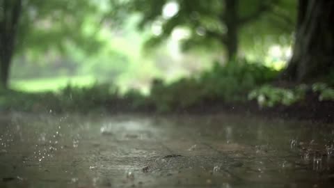 Sound of Soothing Calming Rain 1 hour | White Noise, Sleep, Study, Focus Meditate, Recharge, Relax