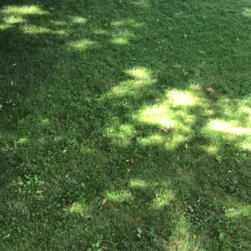 Happy Father's Day - Garden Work