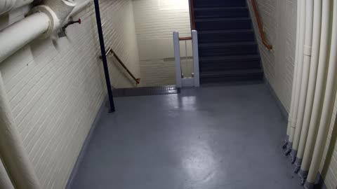 3891FHOB05Stair4_2021-01-06_11h00min01s137ms.mp4