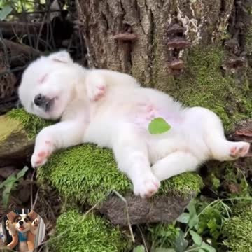 My general condition every Monday morning 🤣🤣