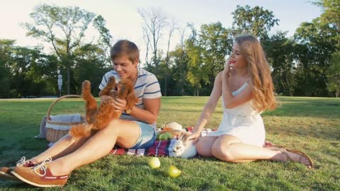 Happy young couple on picnic resting playing with dog and rabbit