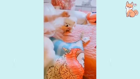 Cute baby puppies video ever