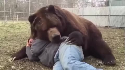 Bear Love | Animal Lovers