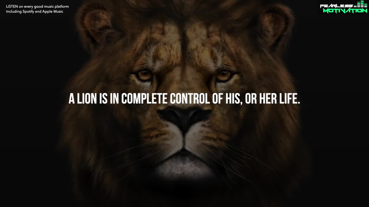 motivation