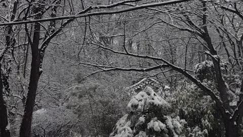 A snowy landscape in winter