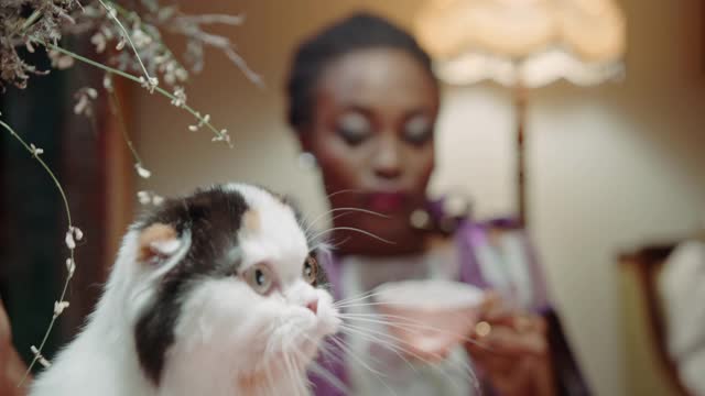Lovely and cheerful cat