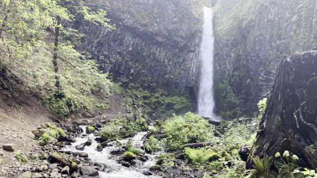 The BEAUTIFUL Dry Creek Falls – Columbia River Gorge – Oregon – 4K