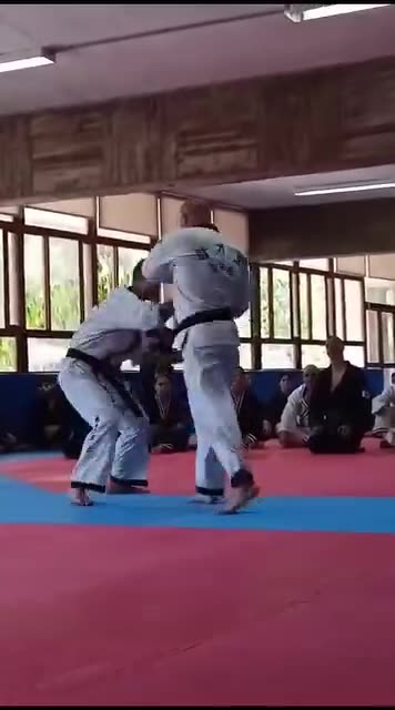 Hapkido