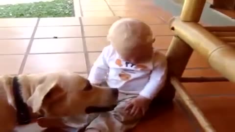 amazing baby and dog bond