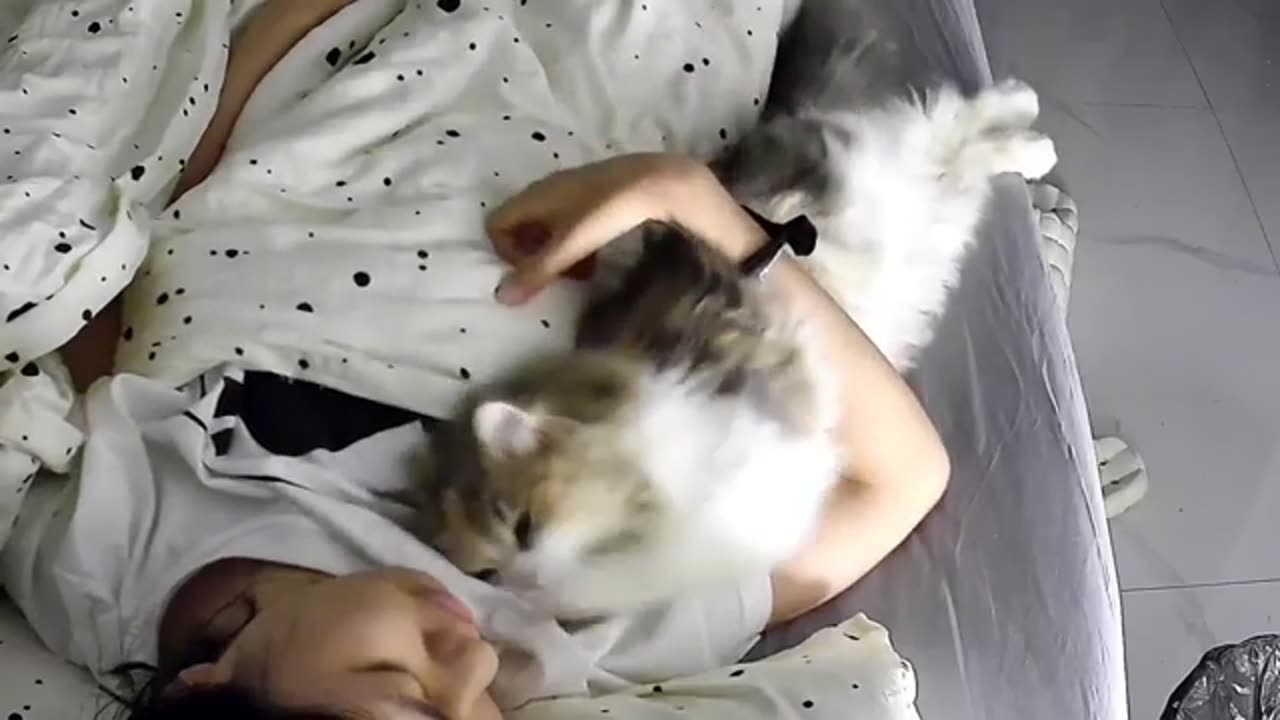 It's the Cutest Thing Ever When Cats Curl Up on Their Humans