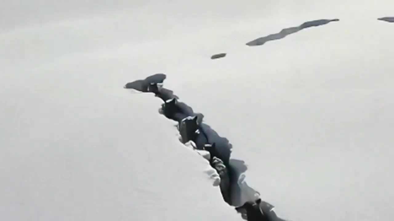 A drone films wolves trekking through deep snow in Xinjiang china