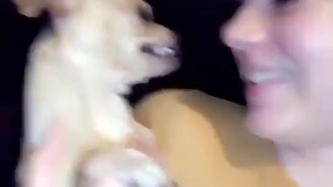 Spooky dog scares his family every chance he gets