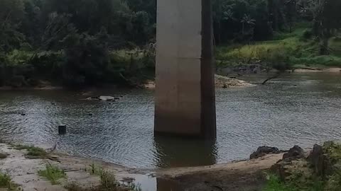 7.7.2024 The Barron River, Kuranda