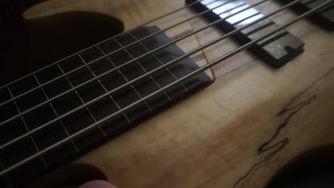 Unboxing My New Fretless Bass! ESP LTD B-205SM