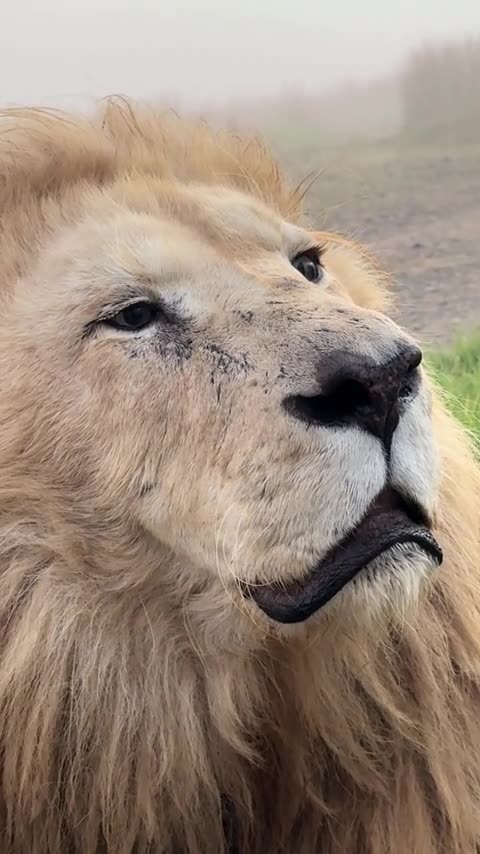 Paparazzi I told you no pictures 😂