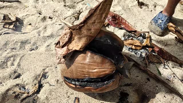 FISH GRILLED INSIDE COCONUT HUSK