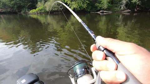 I Thought It Was Just a Snag... Then THIS Happened!"