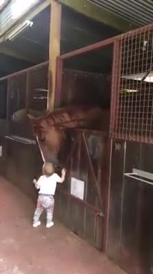 Adorable Toddler Kisses Horses