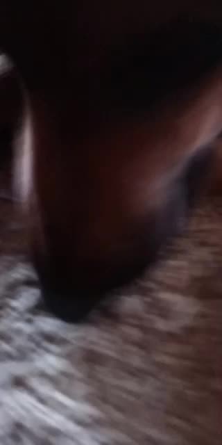 Crunchy Chicken Feet!