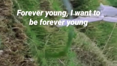 Forever young