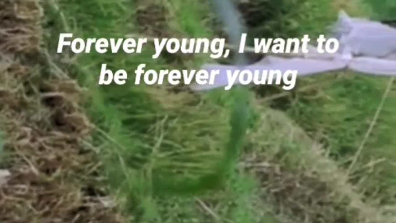 Forever young