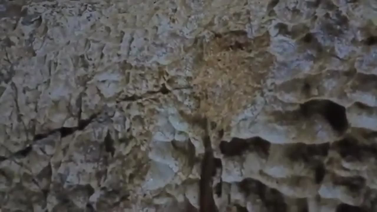 Bogovina Cave-Serbia