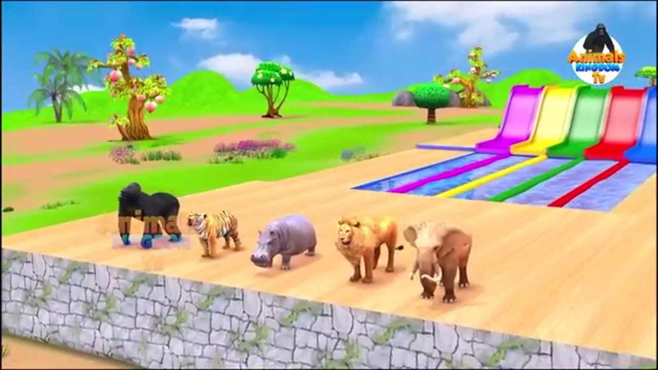 Funny animal video kids