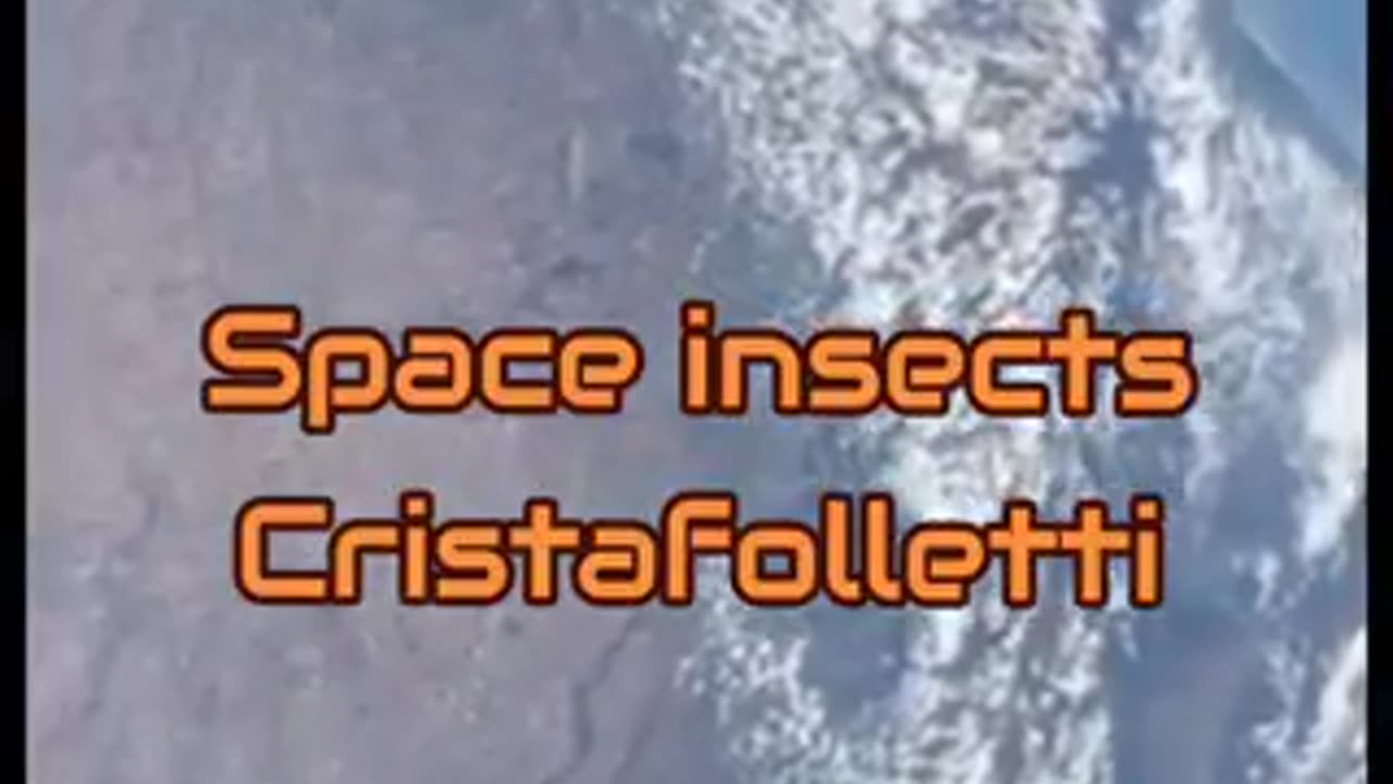 Space fly peeks into the shuttle roflmao