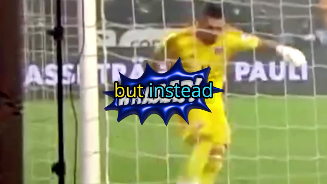 Hamburg GoalKeeper's CRAZY Own Goal!