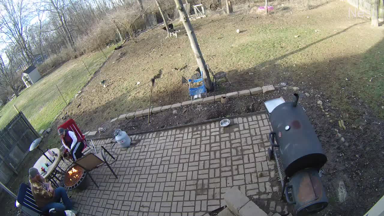 Rambunctious Doggos Knock Over Backyard Barbecue