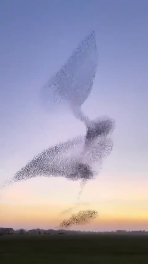 Yours will come to you, come, fly. Be patient.