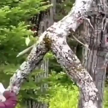 This is some Funny Joke/이것은 재미있는 농담입니다