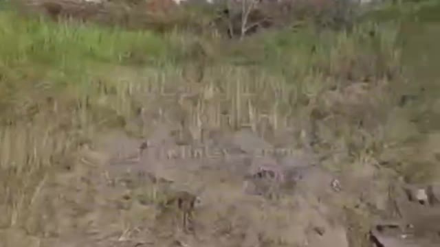 ΜΠΡΙΑΝΣΚ ΟΥΚΡΑΝΙΚΟ ΧΤΥΠΗΜΑ