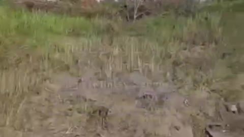 ΜΠΡΙΑΝΣΚ ΟΥΚΡΑΝΙΚΟ ΧΤΥΠΗΜΑ