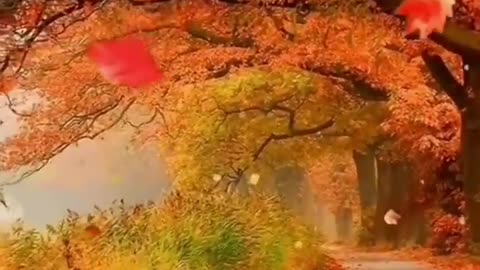 Best Of Beautiful Duniya 😱