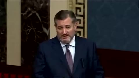 'THIS IS A MISTAKE' Ted Cruz SHREDS Chuck Schumer in HEATED exchange after STUPID easy V0TING plan