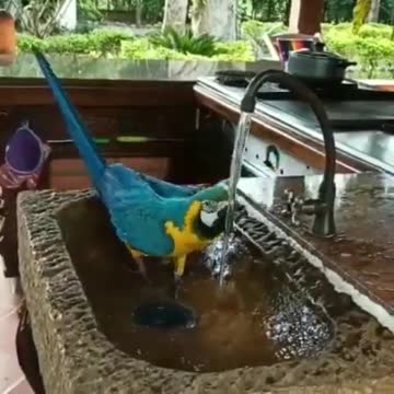 don't turn off the divas shower