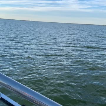 Fishing...and TRUMP 2020